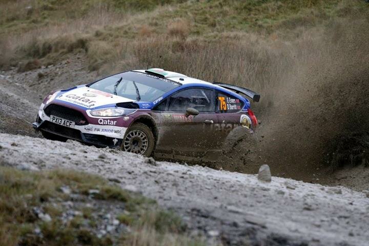 Top 10 WRC 2013 Photos (10)